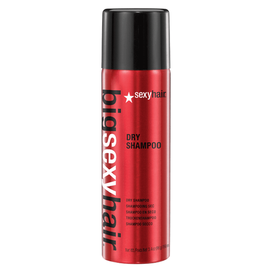 Sexy Hair Concepts Big Sexy Hair Volumizing Dry Shampoo 3.4 fl. oz.