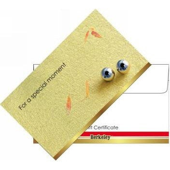 Matching Envelope For Gift Certificate 50ct EN105