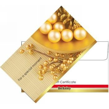 Matching Envelope For Gift Certificate 50ct EN106