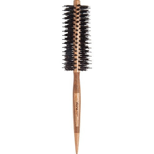Diane By Fromm Porcupine Brush Wood Xs DBB065
