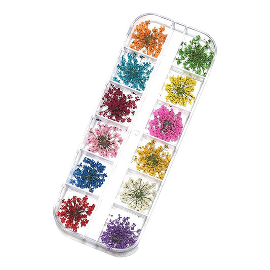 12 Colors 3D Decoration Real Dried Flower For Nail Art 4102A