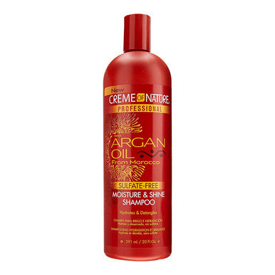 CREME OF NATURE Argan Oil Moisture&Shine Shampoo (20oz)
