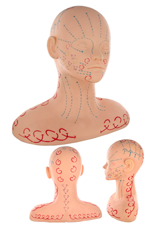 M-2051  Practice Massage Mannequin