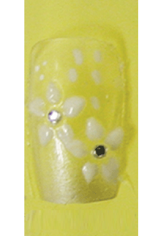 Sassi- 3D Air Brush Design Nail Tip with Glue(TDA001)-Pcs