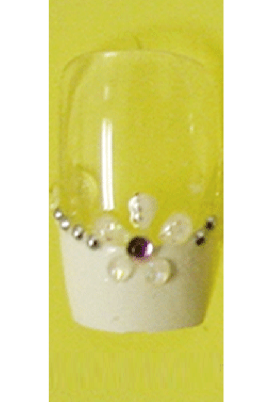 Sassi- 3D Air Brush Design Nail Tip with Glue(TDA002)-Pcs