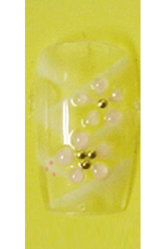 Sassi- 3D Air Brush Design Nail Tip with Glue(TDA003)-Pcs