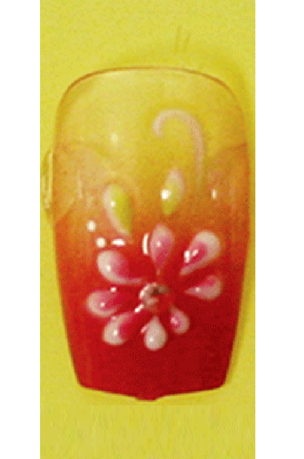 Sassi- 3D Air Brush Design Nail Tip with Glue(TDA006)-Pcs