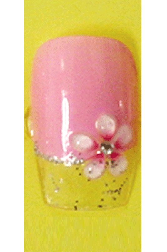 Sassi- 3D Air Brush Design Nail Tip with Glue(TDA008)-Pcs