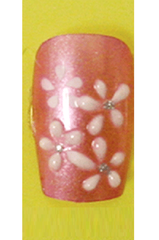 Sassi- 3D Air Brush Design Nail Tip with Glue(TDA009)-Pcs