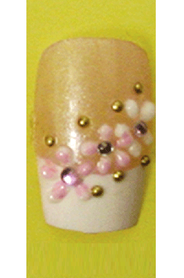 Sassi- 3D Air Brush Design Nail Tip with Glue(TDA010)-Pcs