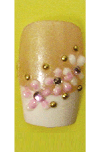 Sassi- 3D Air Brush Design Nail Tip with Glue(TDA010)-Pcs