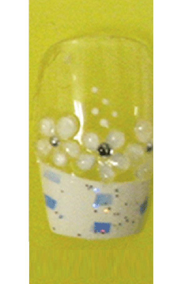 Sassi- 3D Air Brush Design Nail Tip with Glue(TDA012)-Pcs