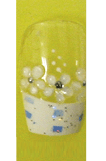 Sassi- 3D Air Brush Design Nail Tip with Glue(TDA012)-Pcs