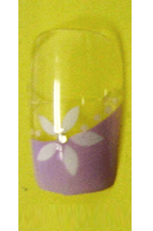 Sassi- Air Brush Design Nail Tip with Glue(FDA001)-Pcs