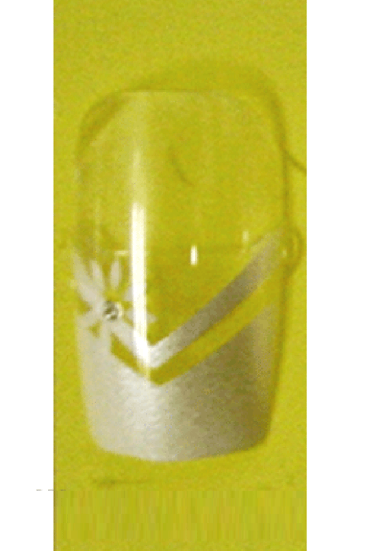 Sassi- Air Brush Design Nail Tip with Glue(FDA002)-Pcs