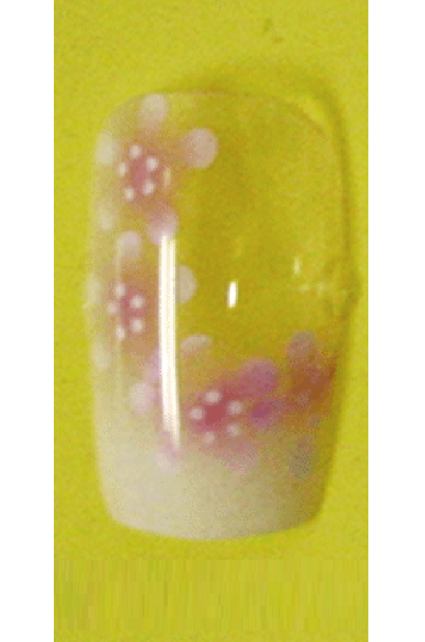 Sassi- Air Brush Design Nail Tip with Glue(FDA003)-Pcs