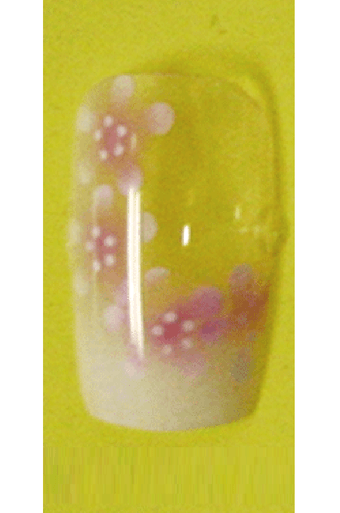 Sassi- Air Brush Design Nail Tip with Glue(FDA003)-Pcs