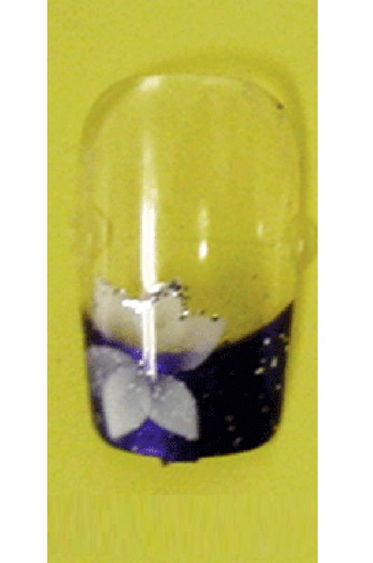 Sassi- Air Brush Design Nail Tip with Glue(FDA004)-Pcs