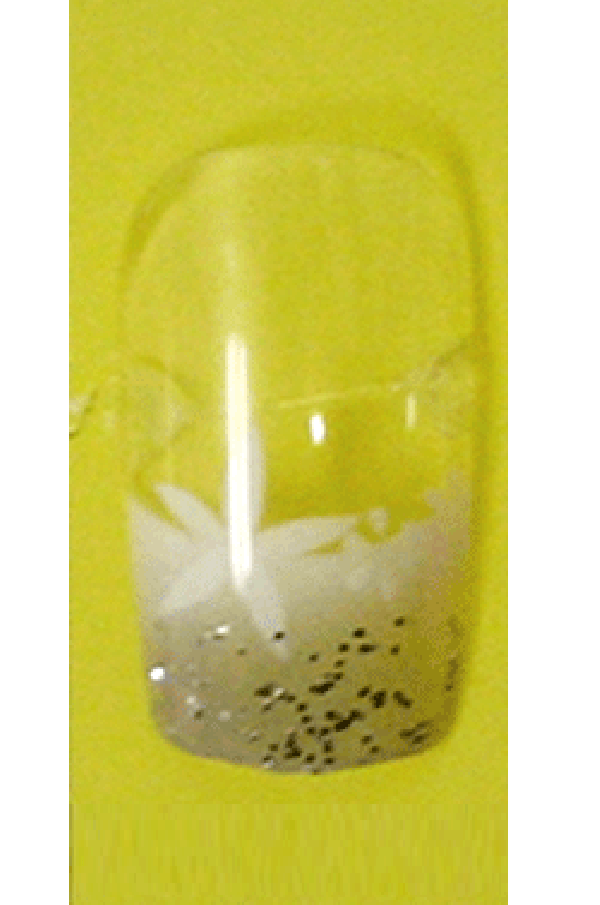 Sassi- Air Brush Design Nail Tip with Glue(FDA007)-Pcs