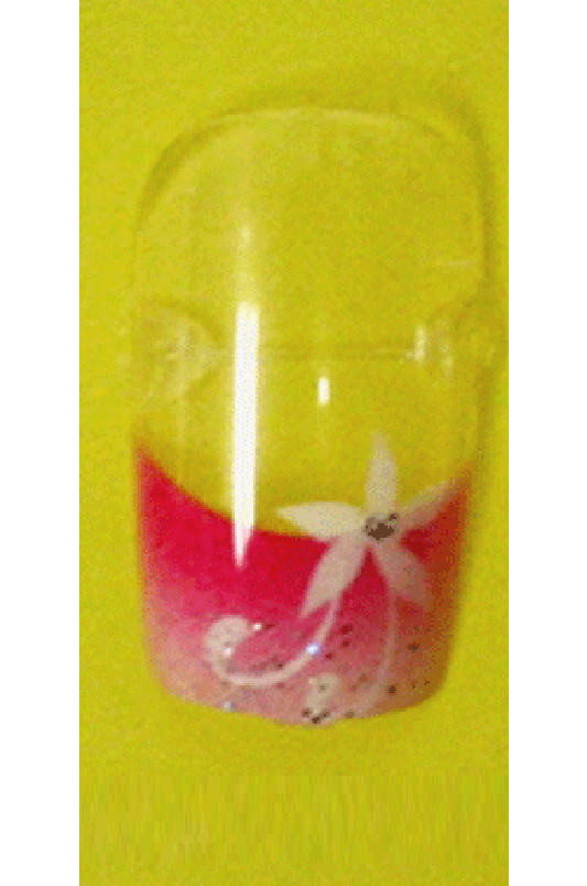 Sassi- Air Brush Design Nail Tip with Glue(FDA008)-Pcs