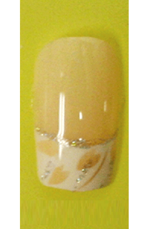 Sassi- Air Brush Design Nail Tip with Glue(FDA009)-Pcs
