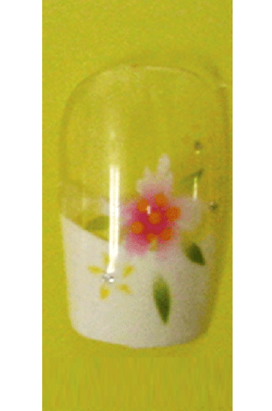 Sassi- Air Brush Design Nail Tip with Glue(FDA010)-Pcs