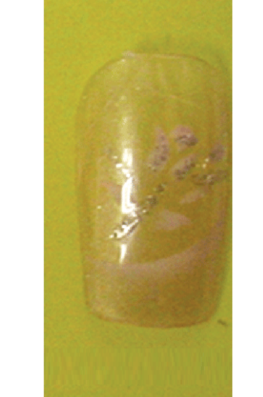 Sassi- Air Brush Design Nail Tip with Glue(FDA012)-Pcs