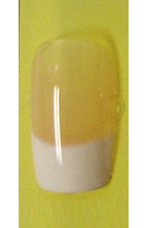 Sassi- French Air Brush Design Nail Tip with Glue(FA001)-Pcs