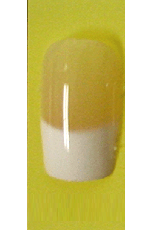 Sassi- French Air Brush Design Nail Tip with Glue(FA002)-Pcs