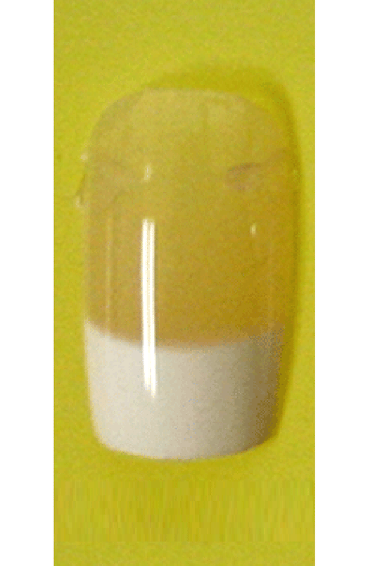 Sassi- French Air Brush Design Nail Tip with Glue(FA003)-Pcs