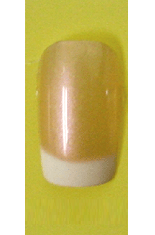 Sassi- French Air Brush Design Nail Tip with Glue(FA005)-Pcs