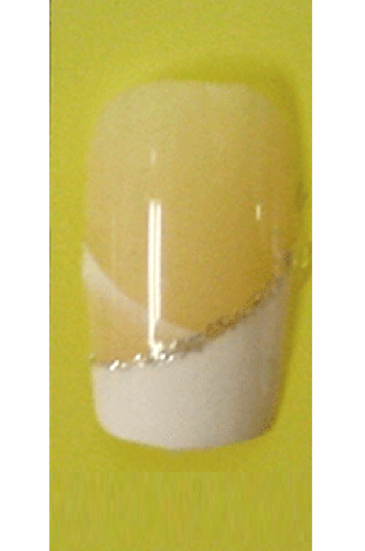 Sassi- French Air Brush Design Nail Tip with Glue(FA007)-Pcs