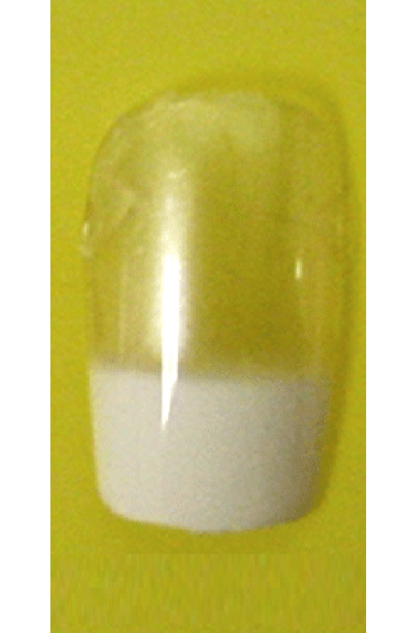 Sassi- French Air Brush Design Nail Tip with Glue(FA009)-Pcs