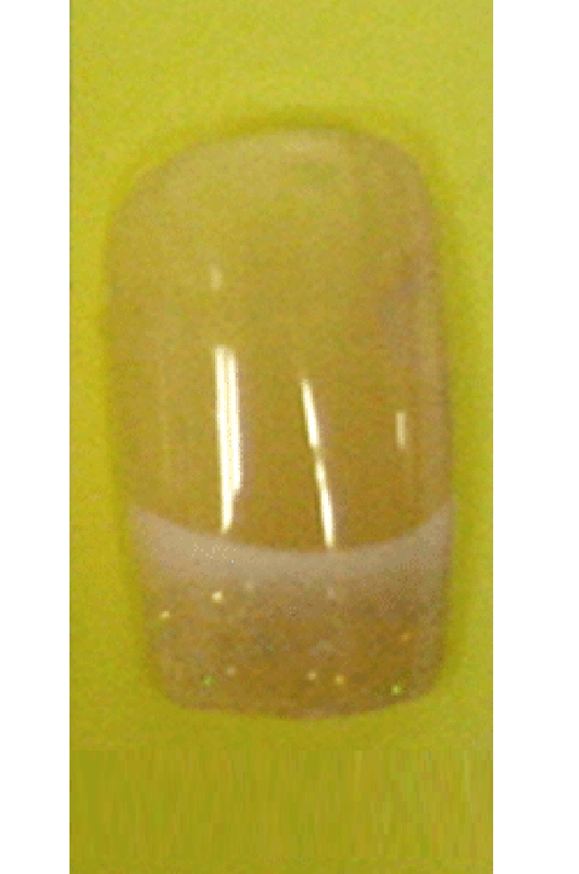 Sassi- French Air Brush Design Nail Tip with Glue(FA012)-Pcs